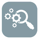 Professional SEO Expert