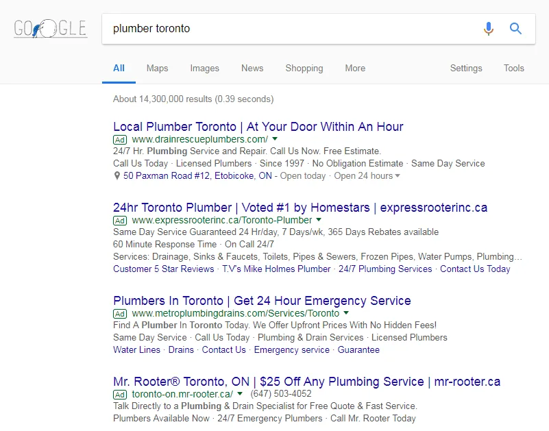 paid advertisement - local seo